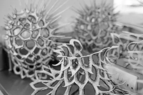 Behind the Scenes — photograph 266 by Martin Higgs